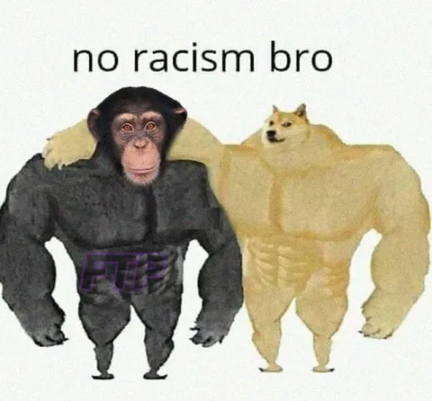 No Racism Bro