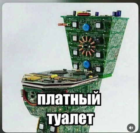 Платный туалет из микросхем
