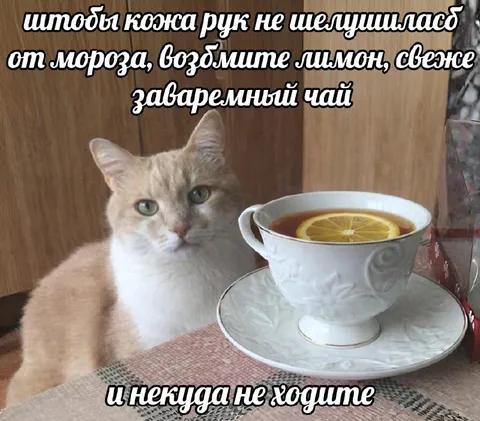 Лимонный чай от мороза