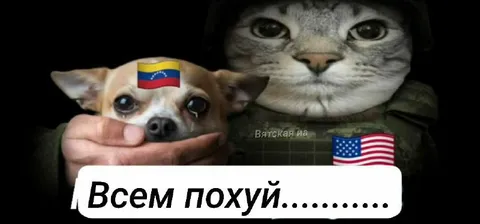 Всем похуй