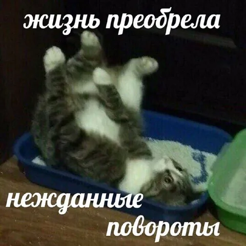 Жизнь приобрела неожиданные повороты