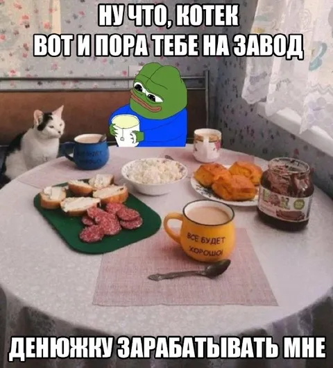 Котек идёт на завод
