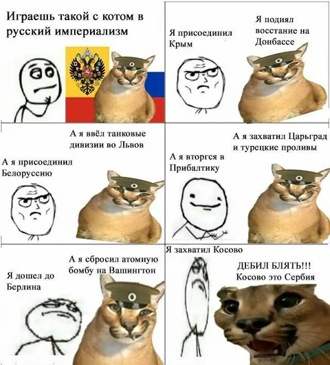 Кот играет в русский империализм