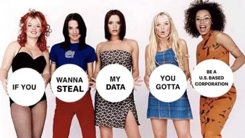 If You Wanna Steal My Data