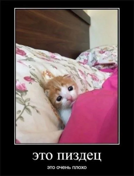 Это пиздец — это очень плохо