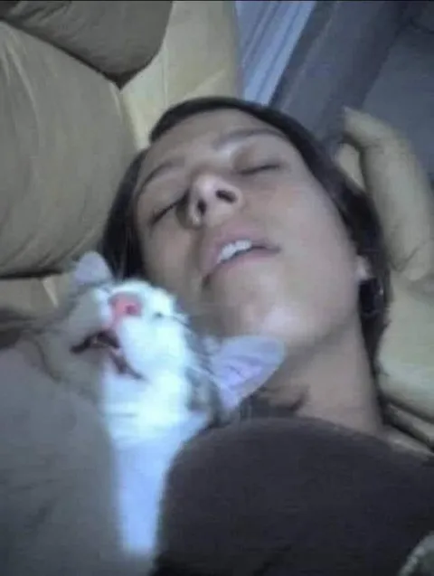 Котёнок будит спящую женщину