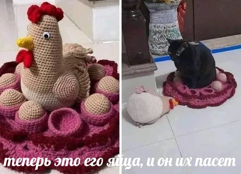 Кот пасёт свои яйца
