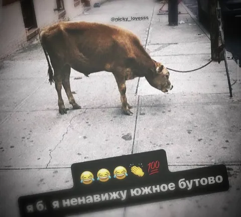 Ненавижу Южное Бутово