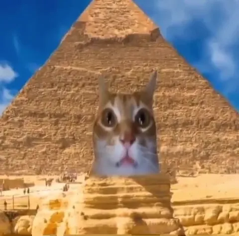 Коты в Египте