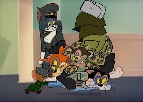 Коты в военной форме