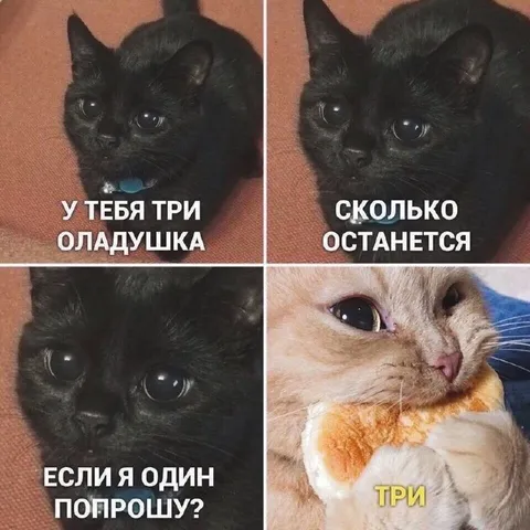 Кот просит три оладушка