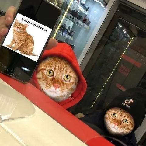И это тоже я