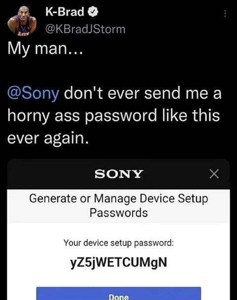 Sony Sends a Horny Password