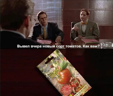 Новый сорт томатов на собеседовании
