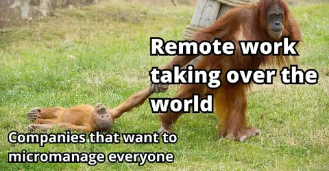 Remote Work Takes Over the World
