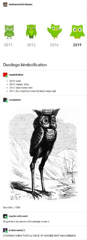Duolingo Owl Bimbofication Timeline