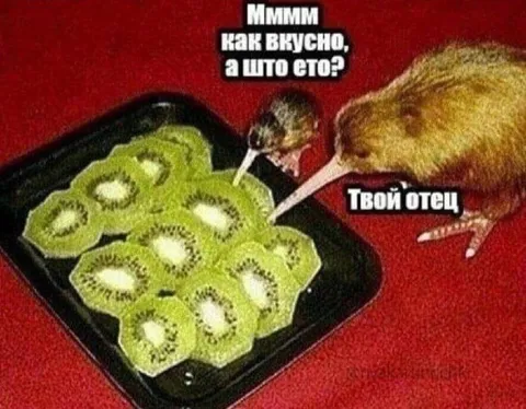 Твой отец в тарелке с киви