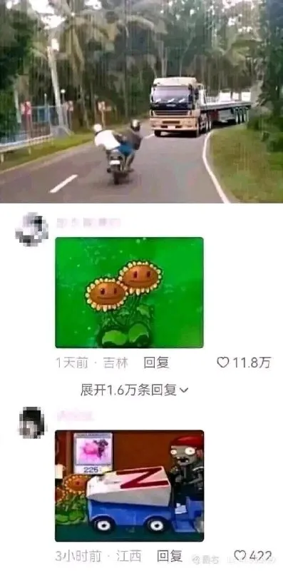 向日葵挡住大卡车
