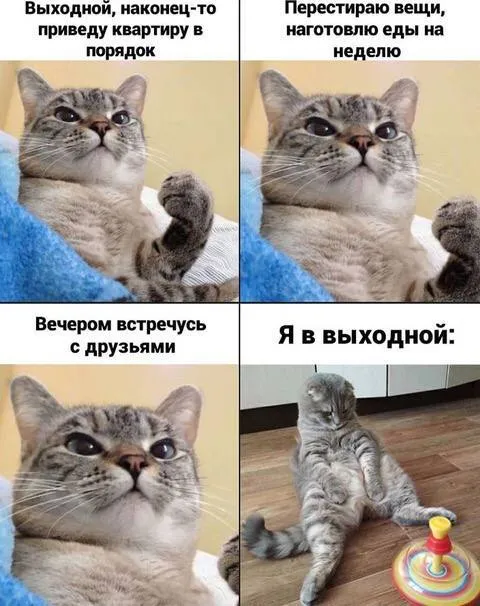 Планы на выходной и реальность