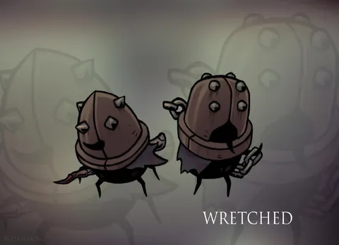 Wretched Hollow Knight Warriors