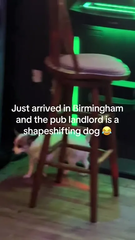 Shapeshifting Pub Landlord Dog