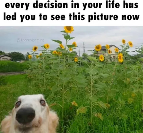 Every Decision Led Here