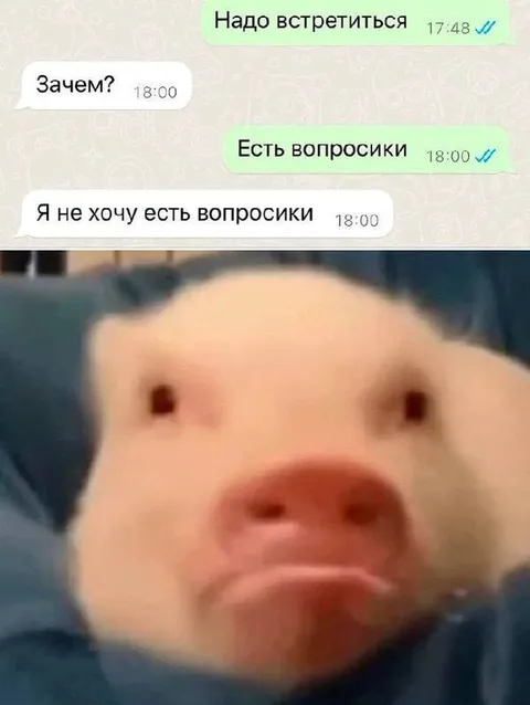 Я не хочу есть вопросики