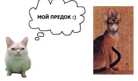 Мой предок — египетский кот