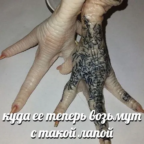 Куда её возьмут с такой лапой