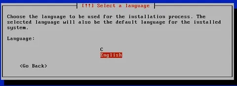 C or English Language Selection