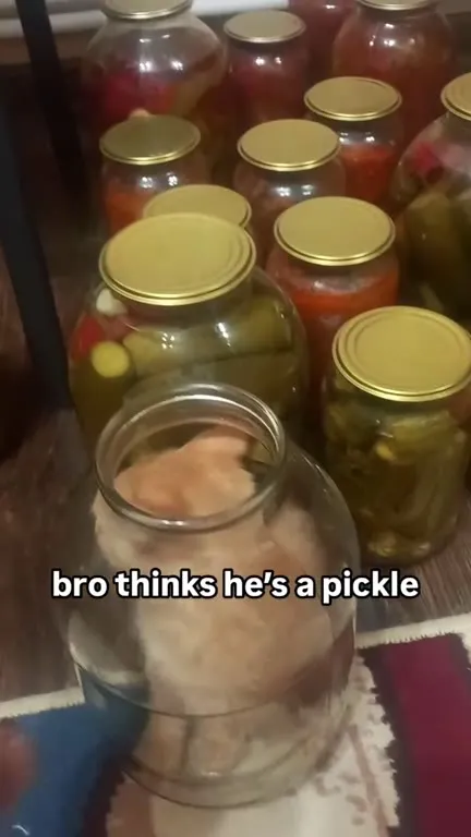 Cat Thinks He’s a Pickle