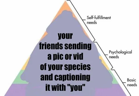 Species Meme as Self-Fulfillment