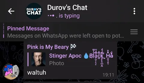 Waltuh Chat Message