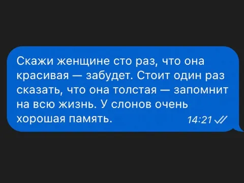 У слонов хорошая память