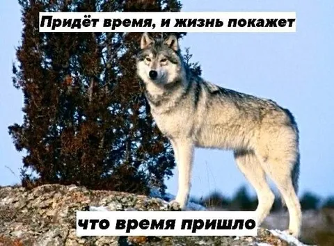 Когда время всё показало