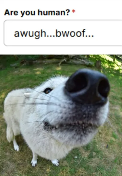 Are You Human? Awugh Bwoof