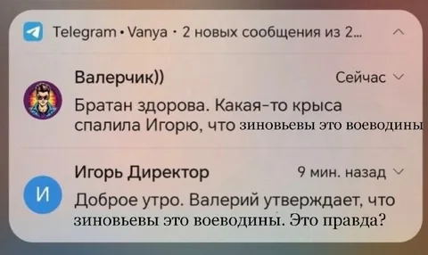 Зиновьевы — это Воеводины