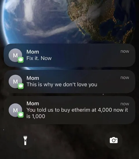 Mom Blames You for Ethereum Crash