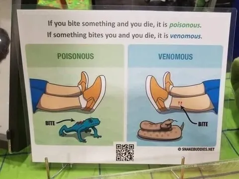 Poisonous vs Venomous