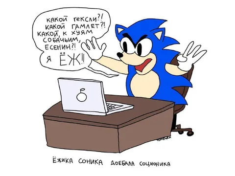 Соник не понимает соционику