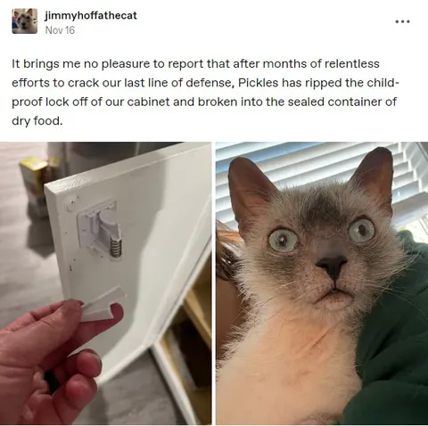 Pickles Defeats the Childproof Lock