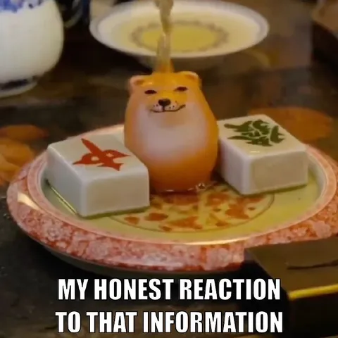 My Honest Reaction