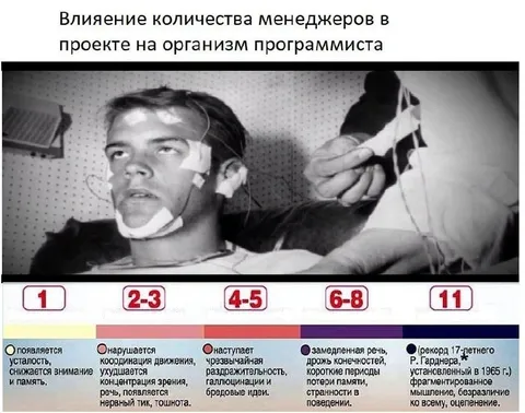 Количество менеджеров и программист