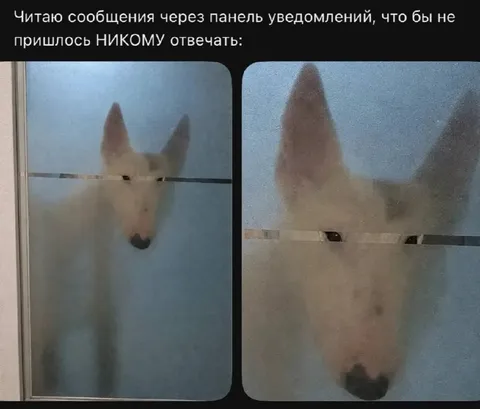 Читаю сообщения через уведомления