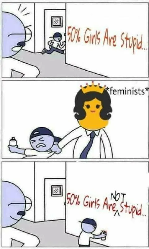 50% Girls Are Not Stupid