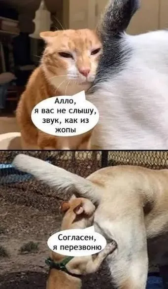 Звук как из жопы
