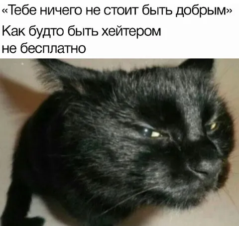 Быть хейтером тоже работа