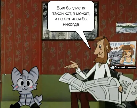 Если бы у меня был такой кот