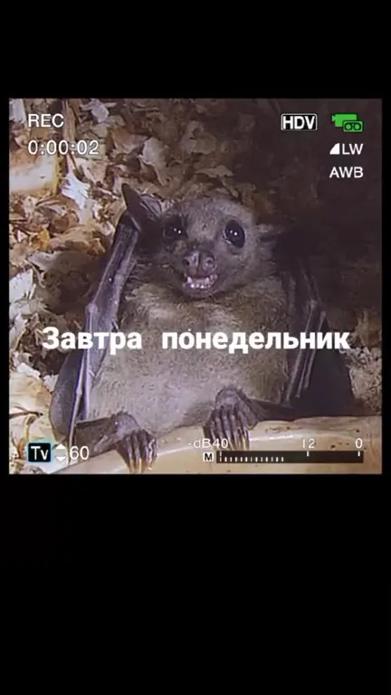 Завтра понедельник