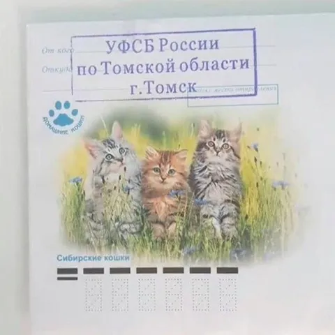 УФСБ России и сибирские кошки